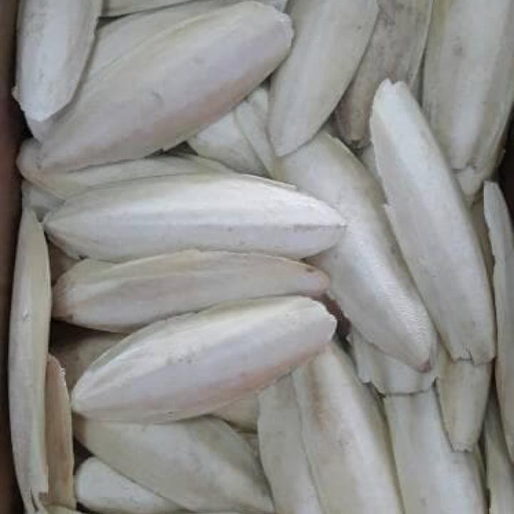 asinan tulang sotong untuk gacorkan dan kalsium untuk burung Lovebird 0