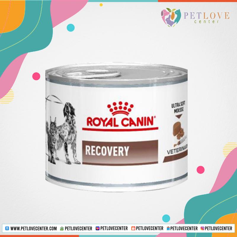 Royal Canin Recovery 195g / Dog Food / Cat Food