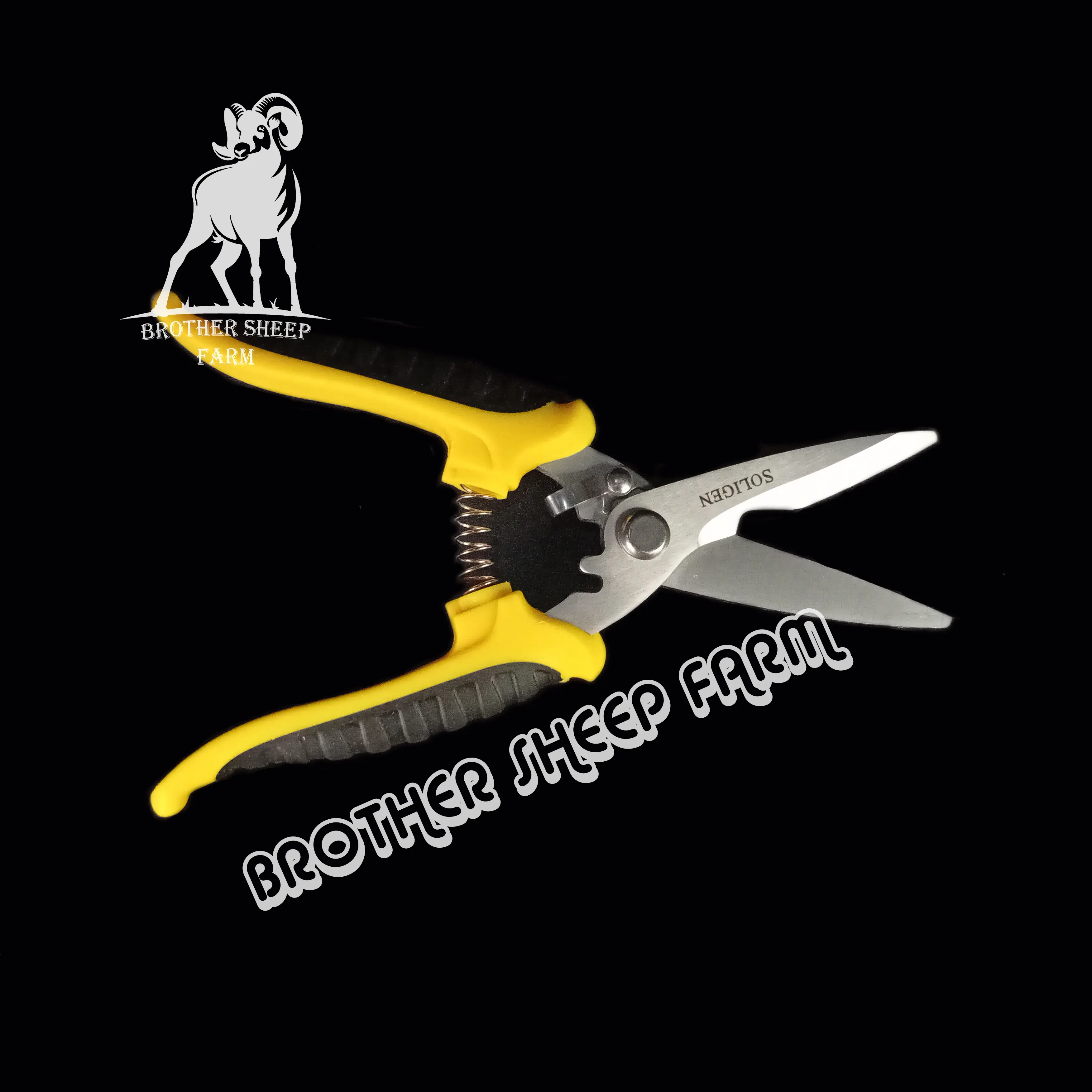 gunting kuku domba