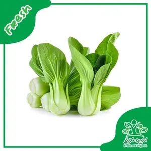 Pakcoy Organik - Sayur Kendal
