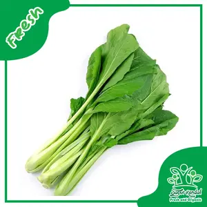 Sawi Hijau Organik - Sayur Kendal