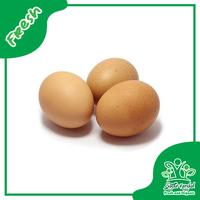 Gambar Telur Ayam Negeri - Sayur Kendal - 500gr dari Sayur Kendal Menteng Kota Administrasi Jakarta Pusat 1 Tokopedia