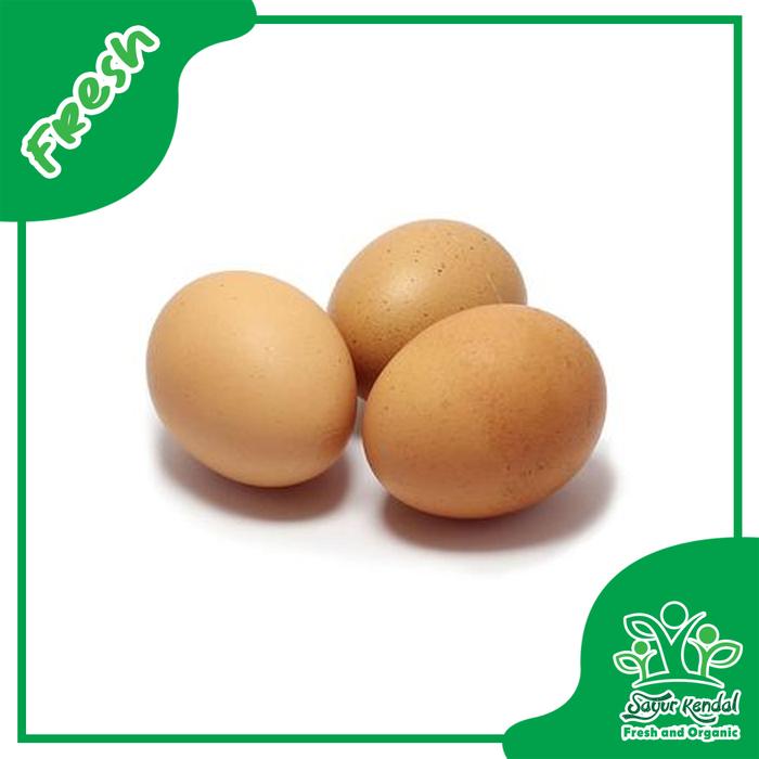 Gambar Telur Ayam Negeri - Sayur Kendal - 500gr dari Sayur Kendal Menteng Kota Administrasi Jakarta Pusat Tokopedia