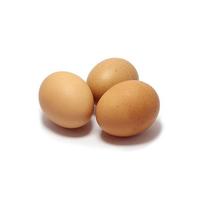 Gambar Telur Ayam Negeri - Sayur Kendal - 500gr dari Sayur Kendal Menteng Kota Administrasi Jakarta Pusat 2 Tokopedia