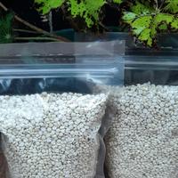 Gambar Beras Jali "Pondok Alam" kemasan 500g dari Pondok Alam Kab. Sleman 2 Tokopedia