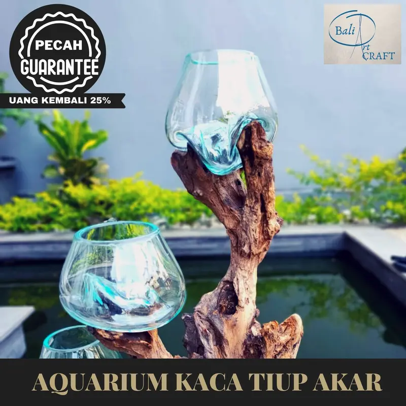 AKUARIUM IKAN CUPANG 3 IN ONE SIZE XXL KAYU AKAR AQUARIUM - TINGKAT 3 3