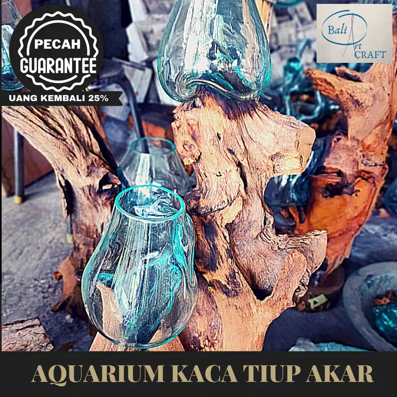 AKUARIUM IKAN CUPANG 3 IN ONE SIZE XXL KAYU AKAR AQUARIUM - TINGKAT 3 0