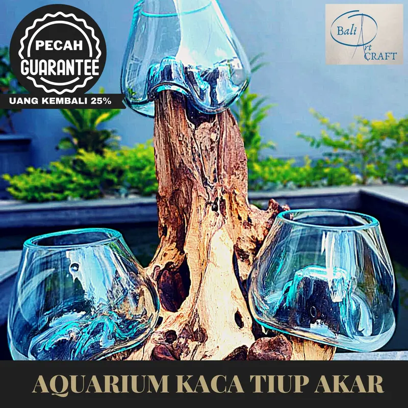 AKUARIUM IKAN CUPANG 3 IN ONE SIZE XXL KAYU AKAR AQUARIUM - TINGKAT 3 1