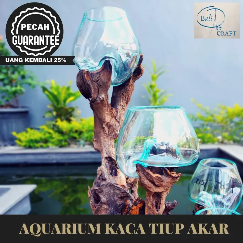 AKUARIUM IKAN CUPANG 3 IN ONE SIZE XXL KAYU AKAR AQUARIUM - TINGKAT 3 4