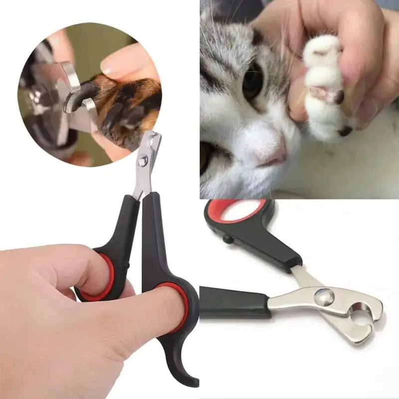 Gunting kucing plus kikir gunting kuku anjing musang kelinci parrot 0