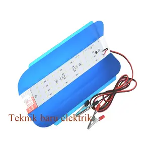 50W 12V DC PJU LED SUNLAMP JEPIT AKI SOROT OUTDOOR LAMPU JALAN DARURAT