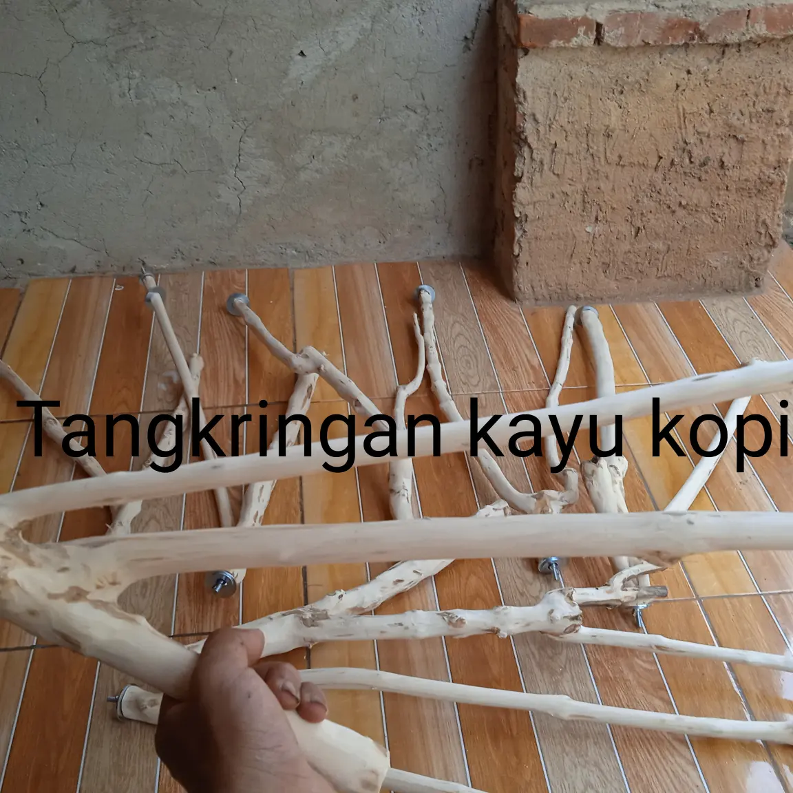 Tangkringan kayu kopi