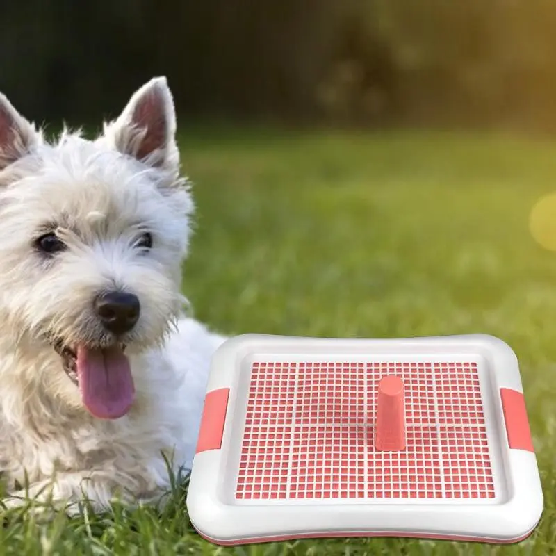 Pet Dog Toilet Pee Training Tray LARGE Tatakan Pipis Kencing Anjing 1