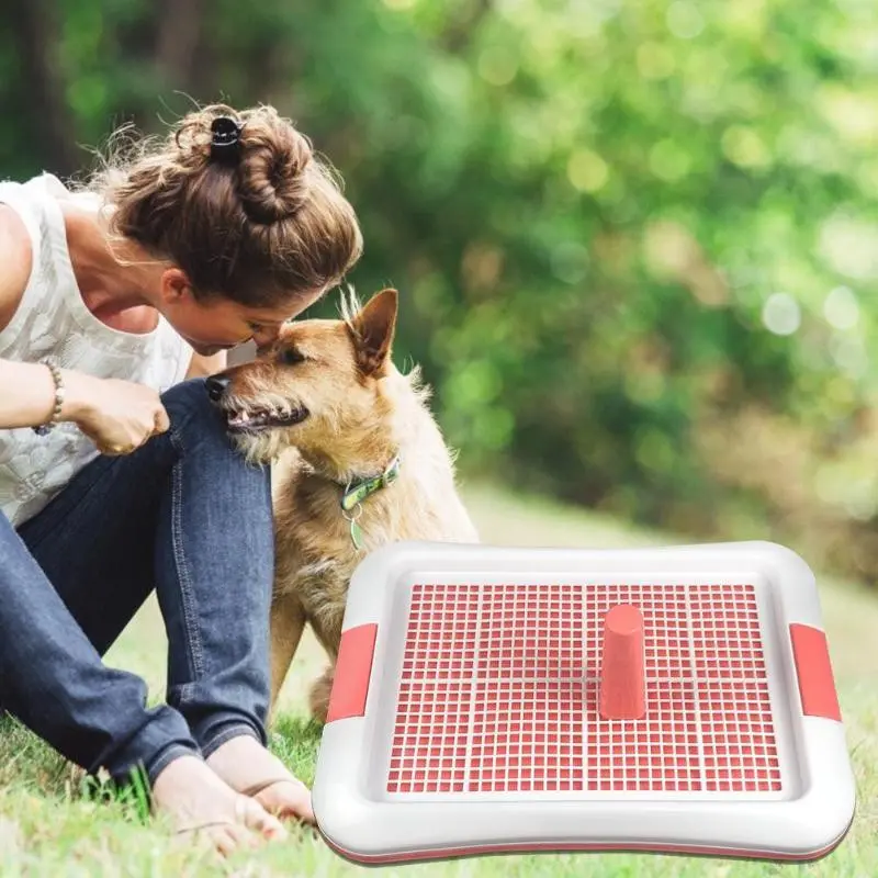 Pet Dog Toilet Pee Training Tray LARGE Tatakan Pipis Kencing Anjing 4