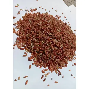 Beras Merah Lokal Bandung Aman dan Sehat Harga per-Kg