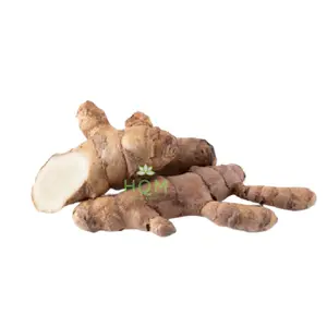 Kunyit Putih Segar 500gram