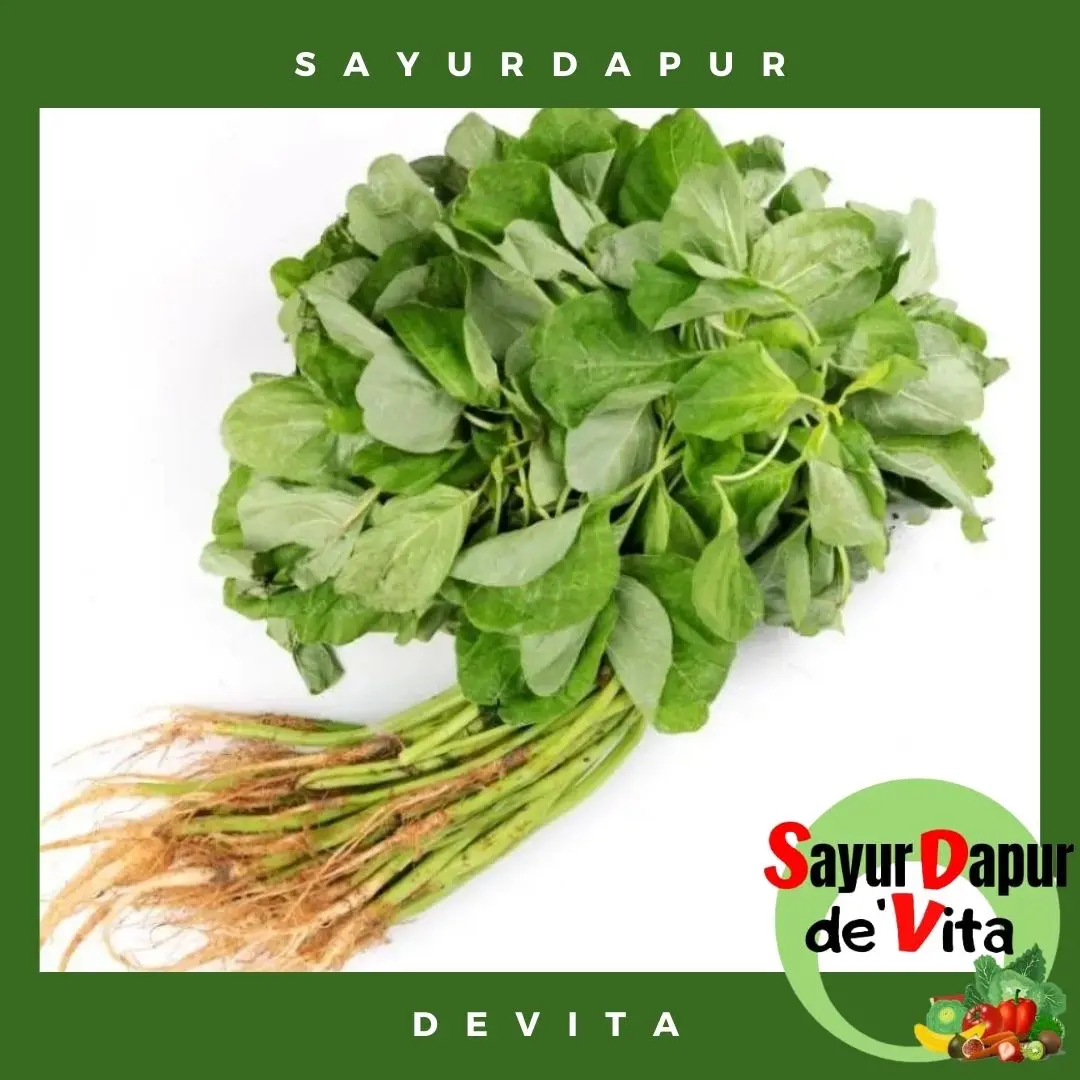 Sayur Bayam Segar