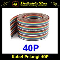 Gambar Kabel Pelangi Rainbow 40P 40Pin 40 P 40 Pin dari Electroholic Store Kota Yogyakarta 1 Tokopedia