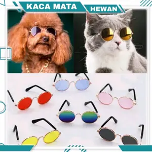 Kacamata Keren Untuk Aksesoris Properti Foto Anjing Dan Kucing Peliha