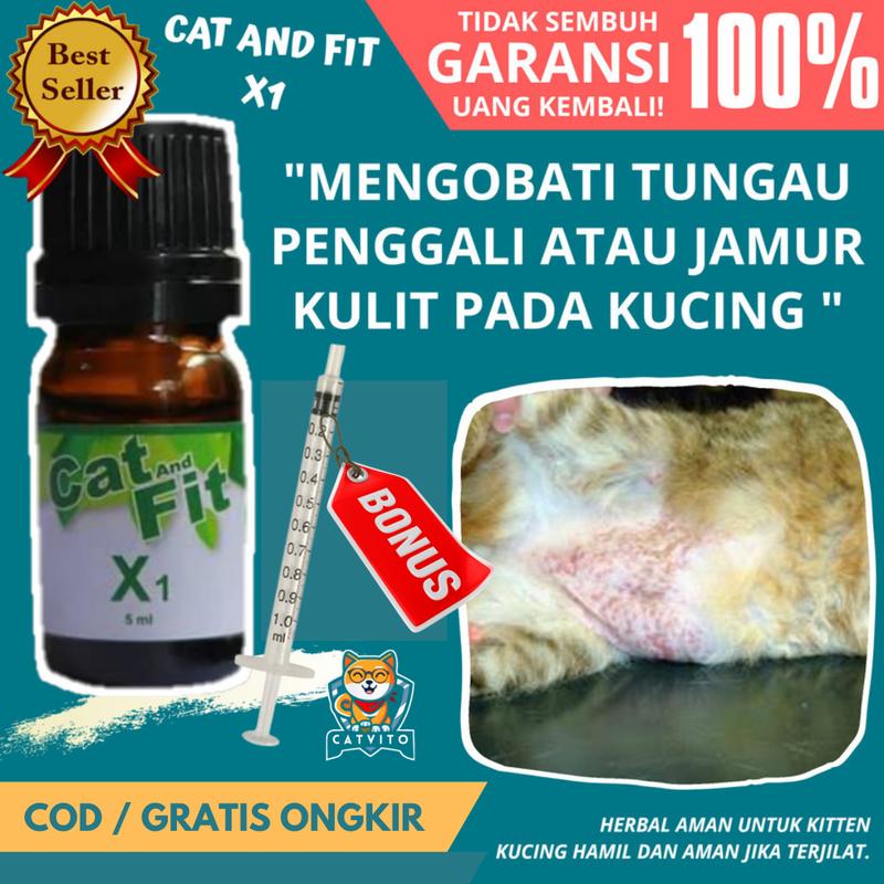 Cat And Fit X1 Obat Tungau Kucing 5ml Mengobati Scabies Jamu - Shop ...