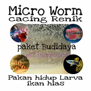 microworm pakan burayak ikan hias guppy cupang channa