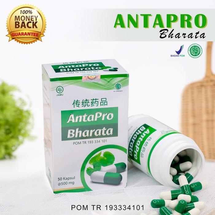 Gambar Antapro Bharata - Obat Stroke / Gejala Stroke Ampuh Herbal Alami dari Bharata Official Store Kab. Bandung Tokopedia