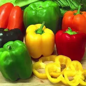 30 Benih Biji Paprika Mix / Bell Pepper Mix Colour Cocok untuk Pemula