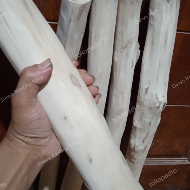 Tangkringan kayu kopi untuk maccaw. kk tua dll 0