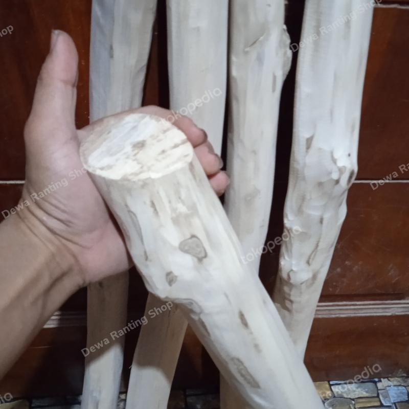Tangkringan kayu kopi untuk maccaw. kk tua dll 2