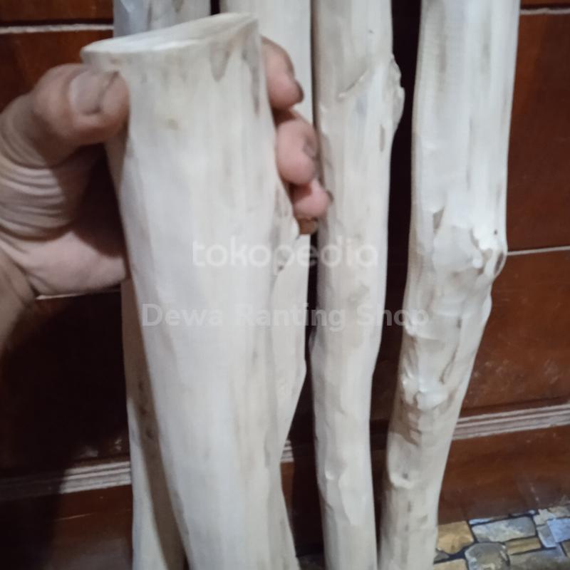 Tangkringan kayu kopi untuk maccaw. kk tua dll 1