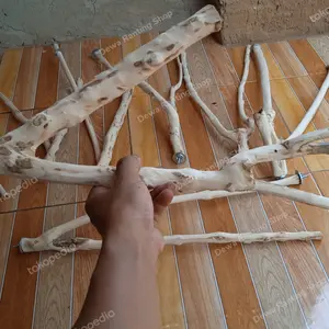 Tangkringan ranting kayu kopi untuk parrot Parkit, iguana. reptil dll