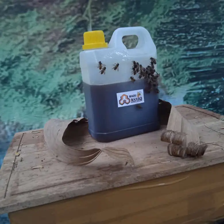 Madu Liar Hutan Apis Dorsata