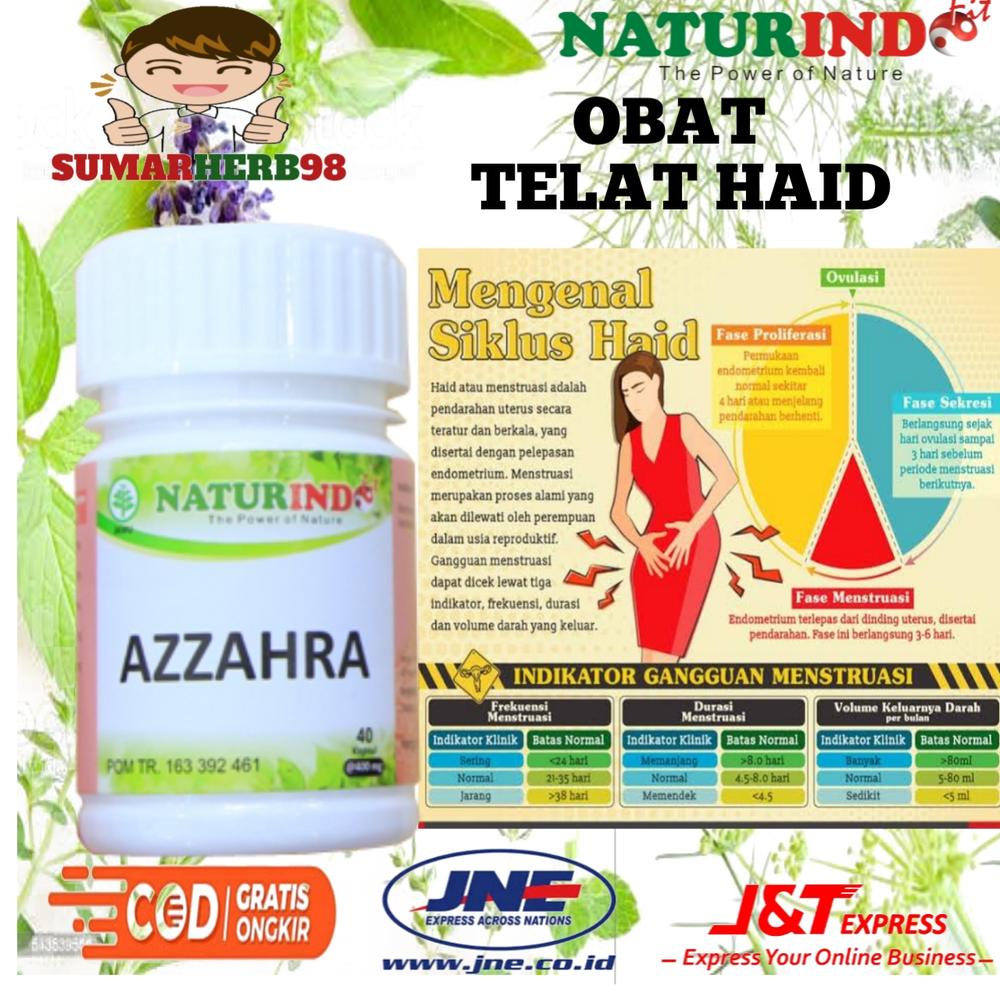 Obat Telat Haid Obat Telat Datang Bulan Obat Terlambat Datang Bulan