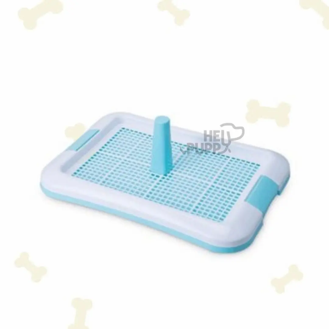 Pet Training Tray 64cm x 45cm