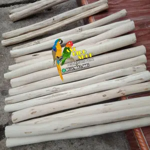Tangkringan kayu kopi parrot panjang 60 cm