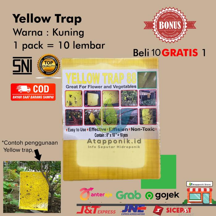 Gambar yellow trap perangkap serangga hama hidroponik dari Atapponik Store Kota Surabaya Tokopedia