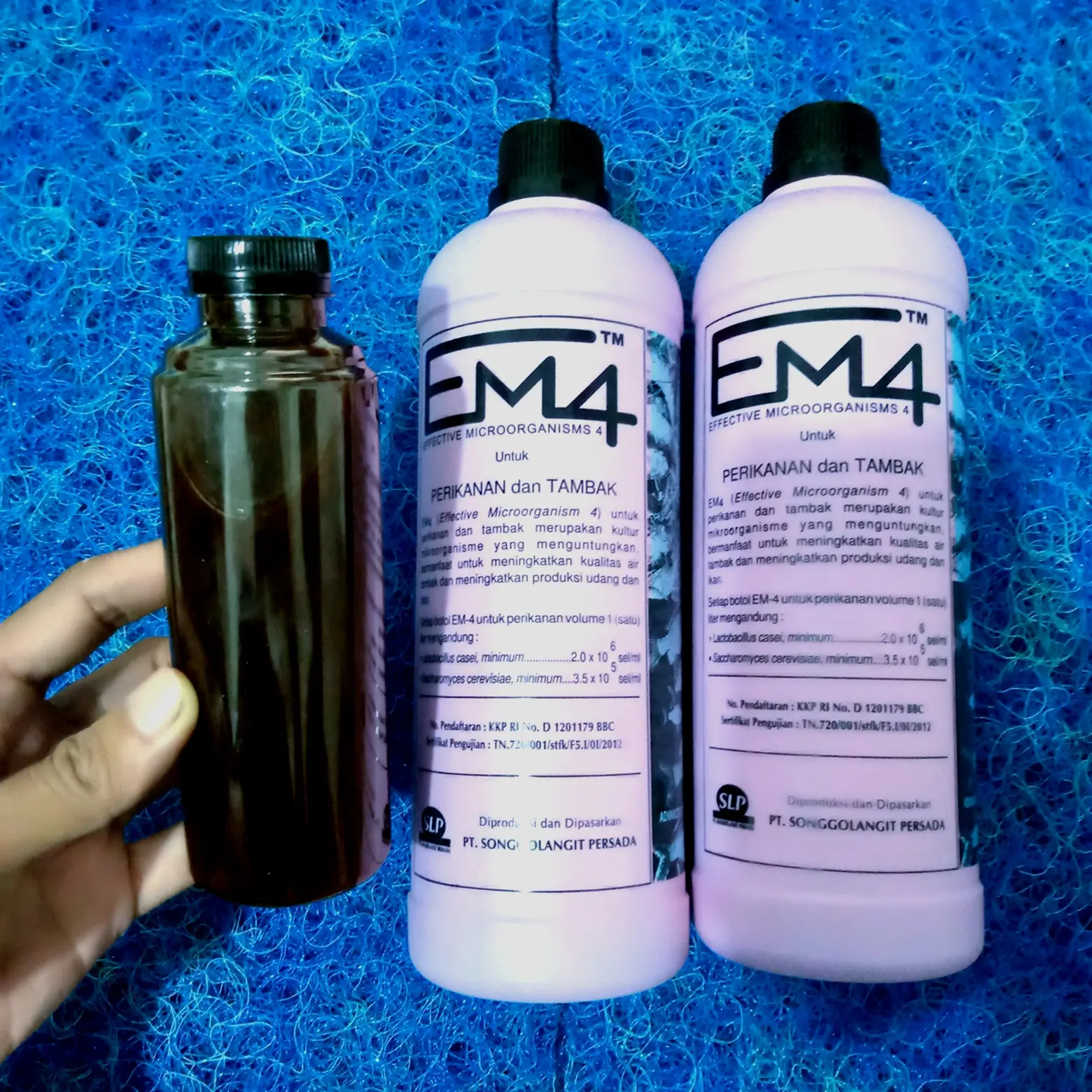 EM4 probiotik bakteri starter kolam koi dan bioflok