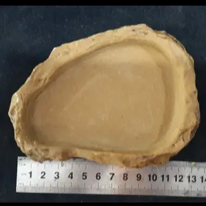 Water-Feeding Dish Small ys Tempat Makan Reptil Sulcata BD Gecko Snake