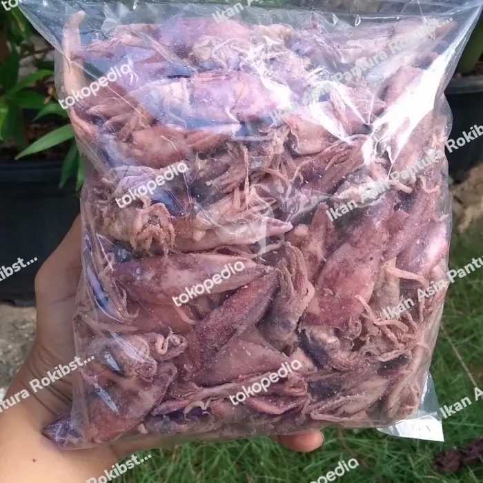 Termurah !!! Cumi Kering Asin Kualitas Super 1 kg 0
