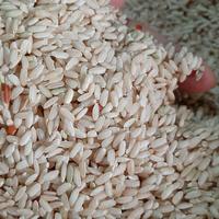 Gambar Beras Coklat Organik dari Pondok Alam Kab. Sleman 1 Tokopedia