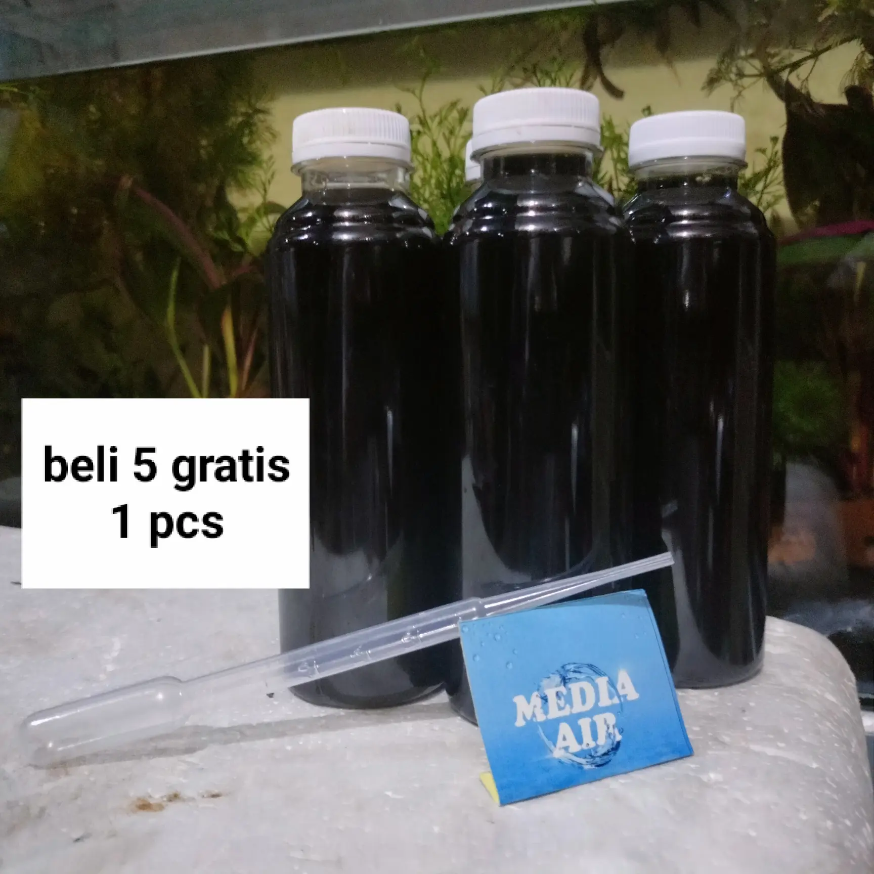 ekstrak daun ketapang merah ( 250ml )