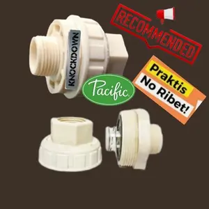 Water mur 1" Foot valve wasser Asli