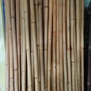 Tongkat rotan besar 2 mtr