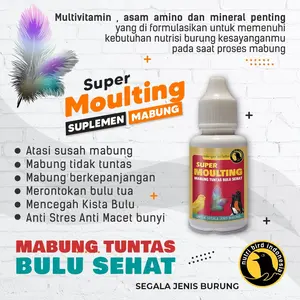 Super Moulting Nutribird Mempercepat Proses Mabung Burung Murai Dll