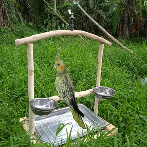 Tangkringan Pangkringan Gantung untuk parrot