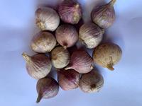 Gambar 500gram Bawang Putih Tunggal/Lanang Kulit Ungu dari Pusat Bawang Lanang Kota Semarang 4 Tokopedia