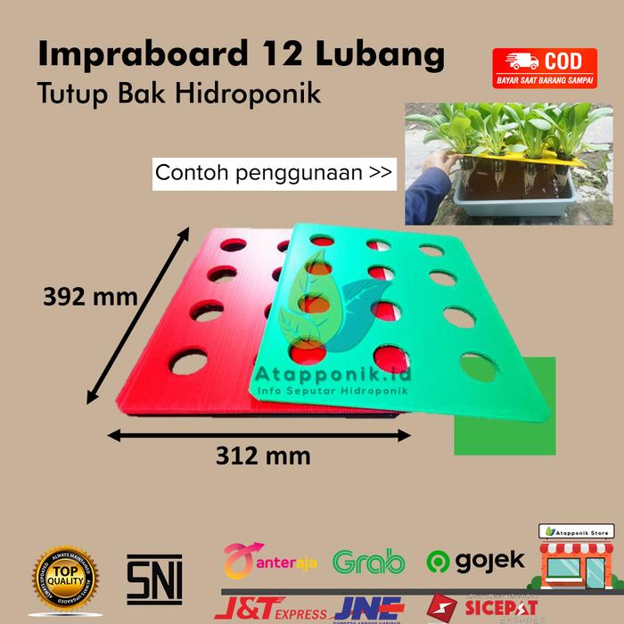 Gambar impraboard hidroponik 12 lubang dari Atapponik Store Kota Surabaya Tokopedia