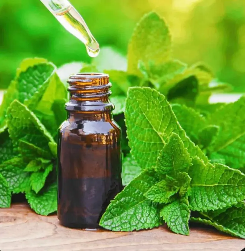Peppermint Oil/ Bibit Parfum Peppermint Oil/ Aroma Mint/ Bibit Aroma Mint 1 Liter 4