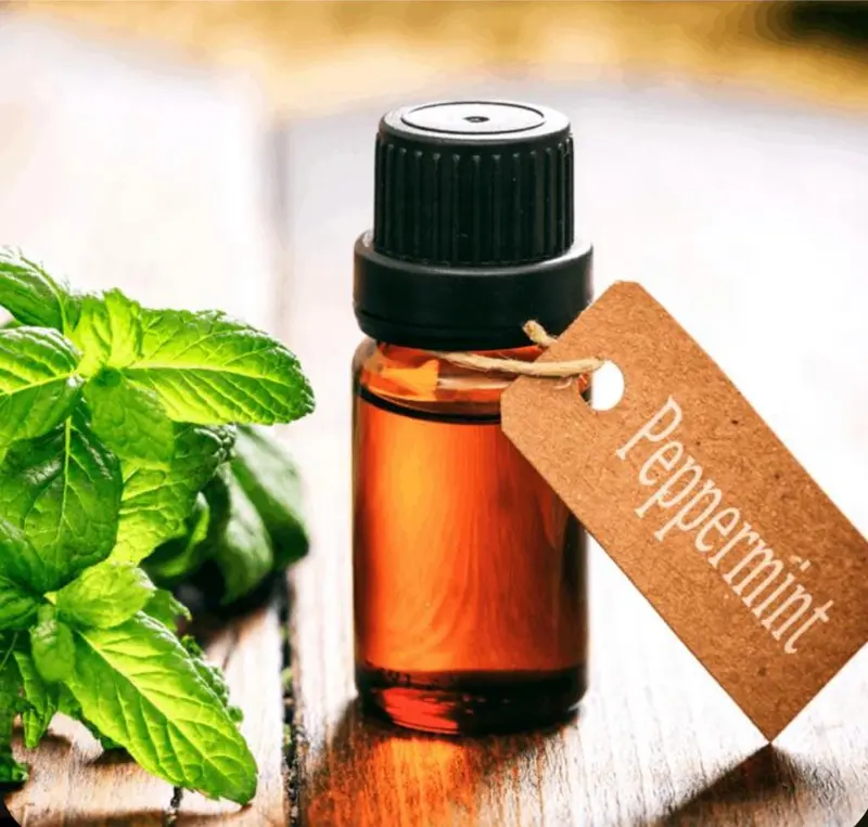 Peppermint Oil/ Bibit Parfum Peppermint Oil/ Aroma Mint/ Bibit Aroma Mint 1 Liter 3