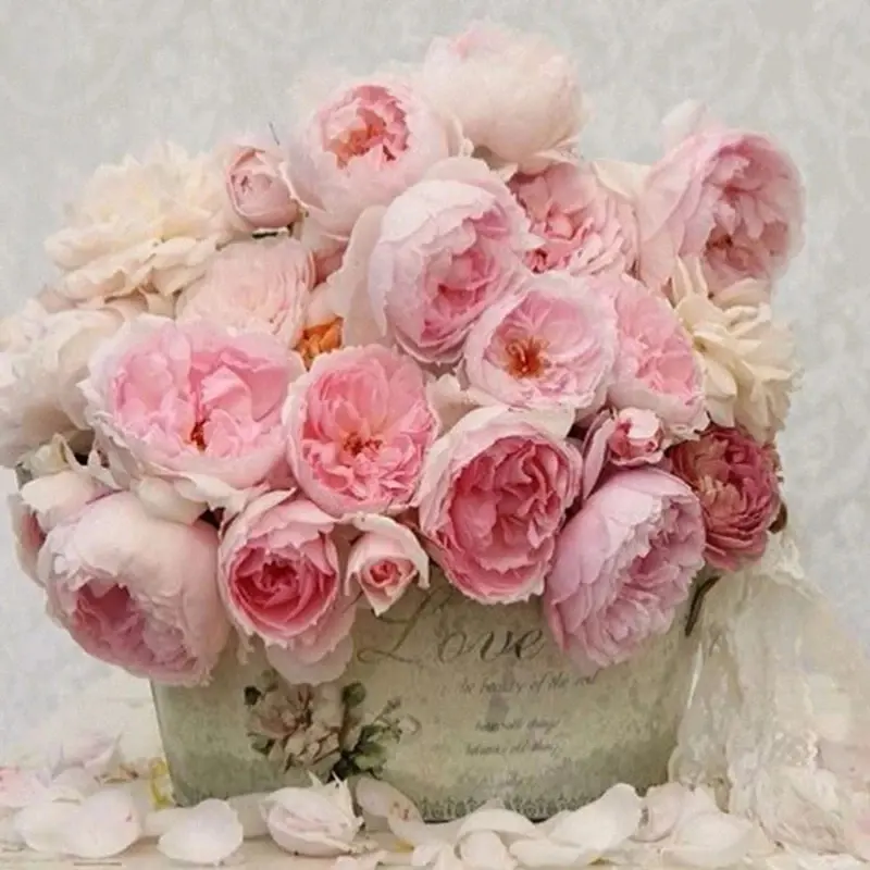 MAOSTORE DIAMOND 5D PAINTING WHITE PINK PEONY FLOWER
